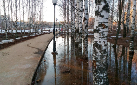 В администрации обещали решить все проблемы Кочуровского парка