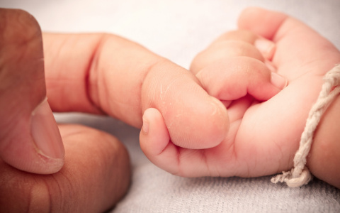 Проверьте ваши шансы стать отцом