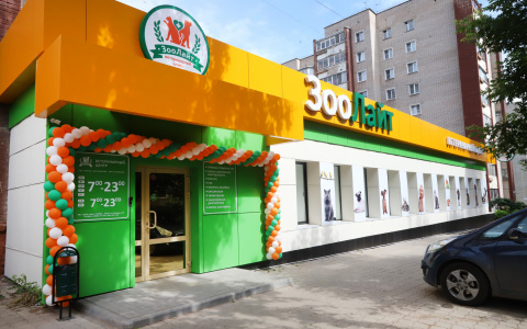 Ищете, где сделать УЗИ питомцу? УЗИ экспертного класса для животных в ветцентре «ЗооЛайт» от 300 руб!