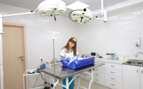 Акция в ЗооЛайте: первичный прием всего 250 рублей*!