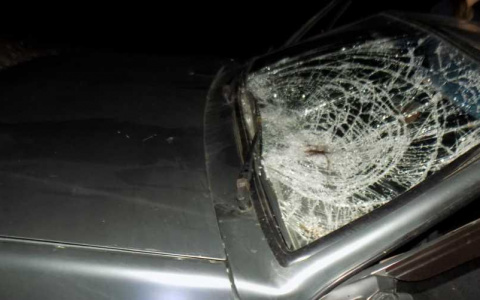 На трассе "Вятка" водитель ВАЗа сбил выбежавшую на дорогу женщину
