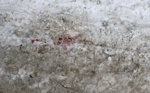 В Кирове суд прекратил уголовное дело после падения снежной глыбы на 9-летнего мальчика