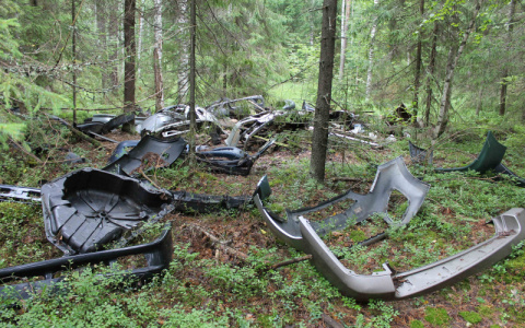 Грибники в лесу у Кирова нашли крупную свалку автозапчастей