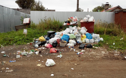 Мусорный коллапс: почему из дворов Кирова не вывозят отходы?