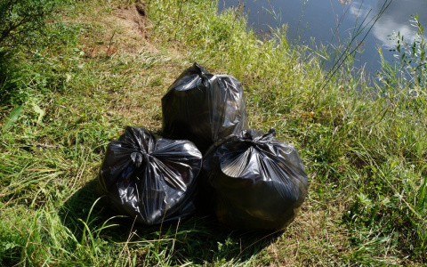 Фото дня: двое кировчан бесплатно очистили лес у реки Быстрица