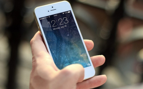 В приемной президента для Кировской области пройдет "прямая линия" по вопросам школ