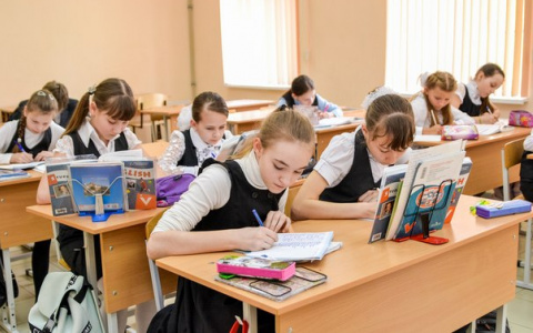 Более половины школьников Кировской области смогут учиться по бесплатным электронным учебникам