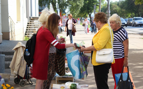 Испытано на себе: как журналист торговал овощами на улице