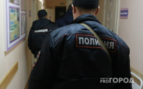 Работу полицейских из Кирова на ЧМ по футболу оценили положительно