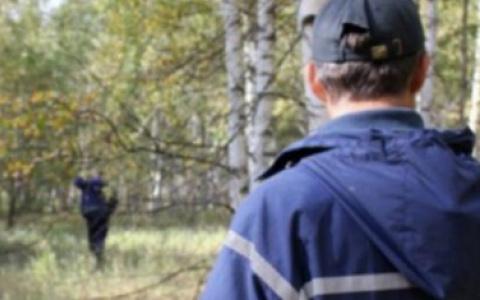 Сотрудница полиции рассказала, как нашла пропавшего кировчанина в лесу