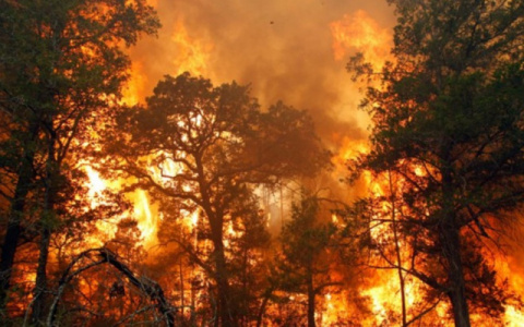 В Кировской области сохраняется высокий уровень пожароопасности