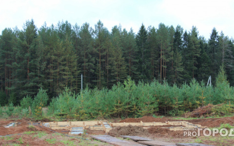 В Кировской области охотовед нашел в лесу человеческие останки