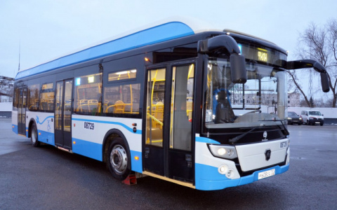 Из Кирова начнут ездить рейсовые автобусы до Москвы