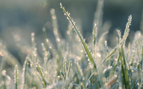 Дожди, сильный ветер и заморозки: в ЦГМС рассказали о погоде в ближайшие дни в Кирове