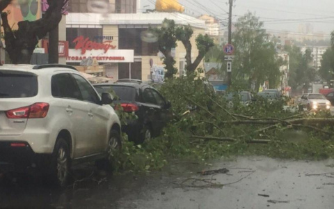 В Кирове прогнозируют штормовой ветер