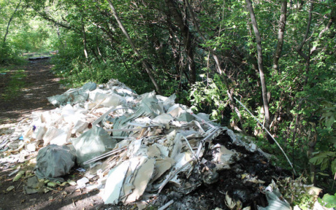 В Кирове заповедную зону для ленточного парка завалили мусором