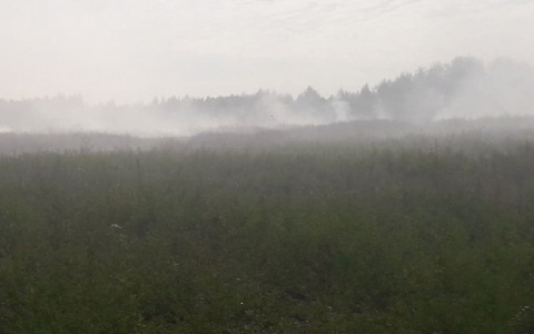 В Кировской области больше недели горит крупный мусорный полигон