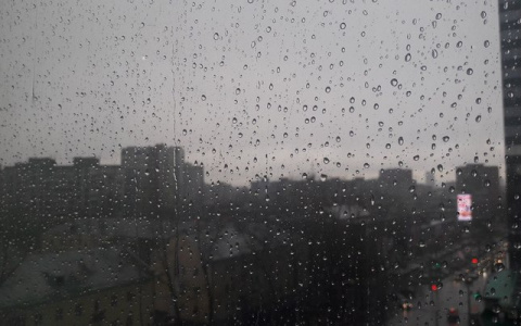 МЧС: в понедельник в Кирове ожидается сильный ветер и дождь