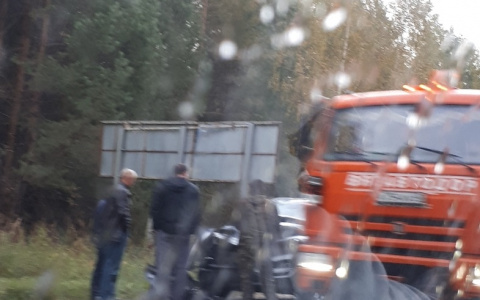 На трассе около Казанского поворота иномарка сбила лося