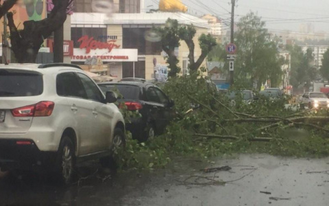 Во вторник в Кирове объявили метеопредупреждение из-за сильного ветра