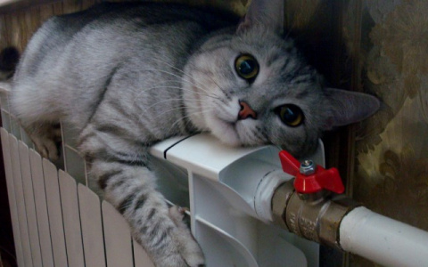 Опубликован график подключения отопления в Кирове