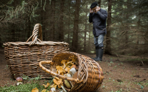 В Кировской области спасли грибника, который два дня был без еды и воды в лесу