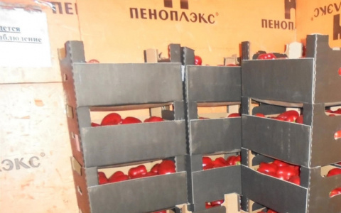 В Кирове уничтожили более тонны санкционных овощей и фруктов