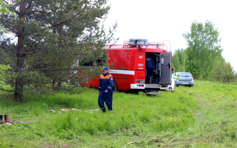 В Кировской области мужчина потерялся в лесу по дороге домой