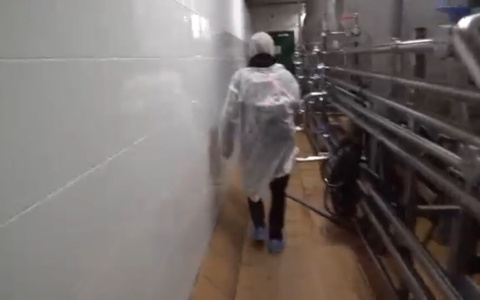 24 часа Челлендж: неизвестные проникли на завод "Вятич"