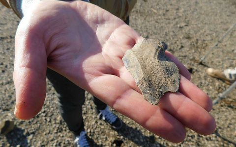 В Кировской области нашли древнее орудие периода неолита