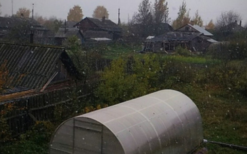 В Кировской области выпал первый снег