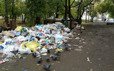Кировские УК обязали ежедневно отчитываться о вывозе мусора