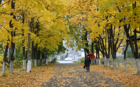 Фитнес-тренер, диетолог и психолог советуют, как пережить осень в Кирове