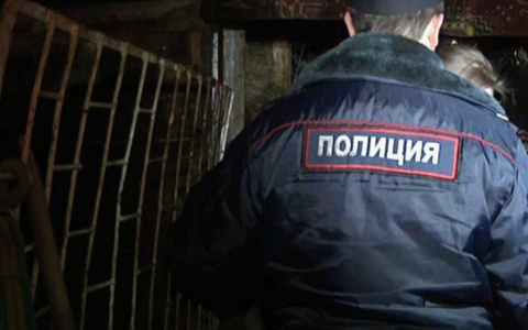 Ночью в Кирове полицейские искали 8-летнего ребенка