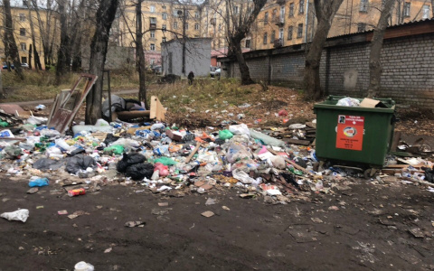 Мусорный коллапс на улице Кутшо: жители уже видели змей и крыс