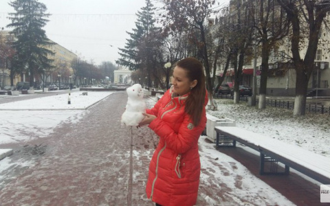 Ноябрь в Кировской области окажется теплее, чем ожидалось