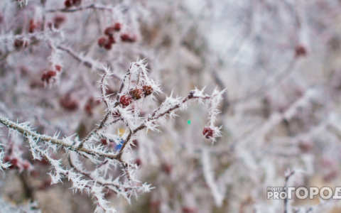 Погода в Кирове: синоптики прогнозируют значительное похолодание к выходным