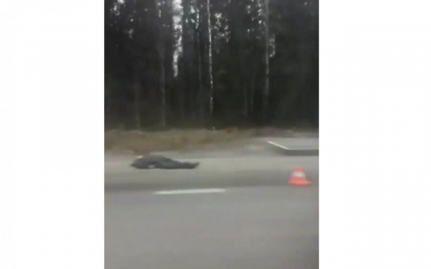 На трассе Киров - Слободской сбили насмерть человека