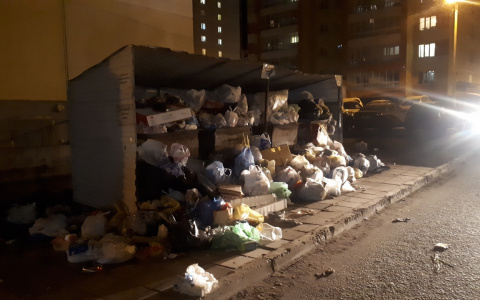 Власти подтвердили, что Киров на грани мусорного коллапса