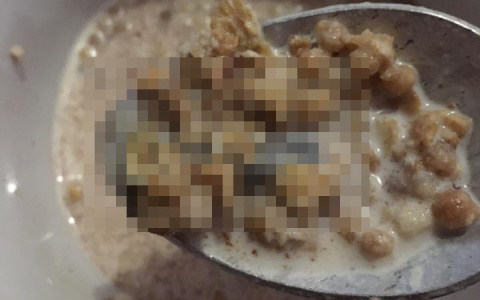 Девушка купила в Кирове мюсли с болтом