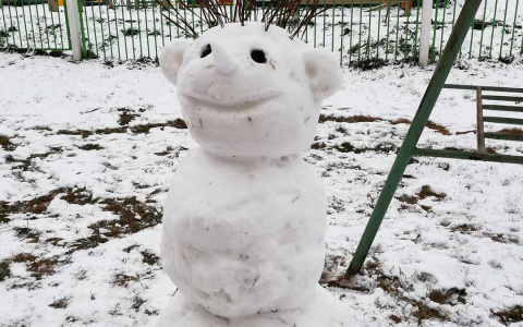 Фоторепортаж из соцсетей: первые снеговики в Кирове