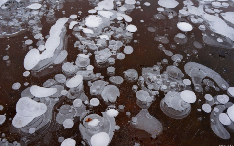 Фоторепортаж из соцсетей: прозрачный лед на озерах в Кировской области