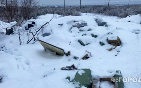 Свалку в Костино хотят переоборудовать в горнолыжный склон