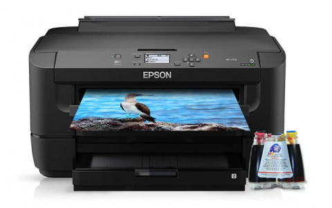 Принтер Эпсон с СНПЧ: преимущества, особенности выбора