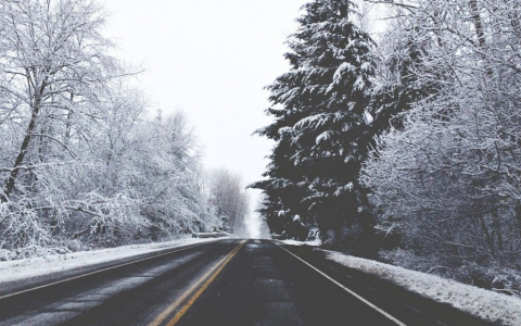 Сплошные полосы на дорогах планируют перекрасить в желтый цвет