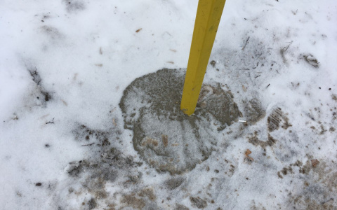 В Кирове установили бетонное укрепление забора в снег