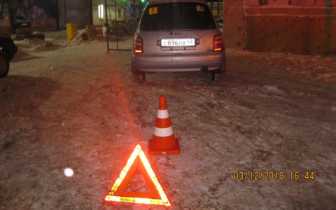Что обсуждают в Кирове: женщина сбила девочку и уехала, в центре потерялась цирковая собака