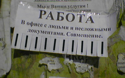 Кировчанка о поиске работы: «Нас учили продавать чай за 1500 рублей»