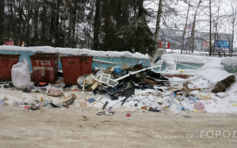 В Кирове пройдет сбор подписей против  мусорной реформы