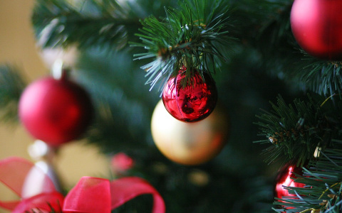 Сертификат на медицинские услуги - отличный подарок на Новый год